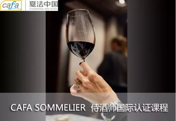 CAFA侍酒师国际认证课程 十城联合发布