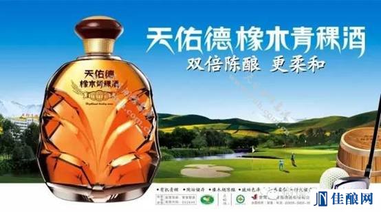 青青稞酒 草原佳酿