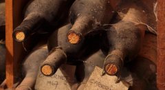 ʲô�������Ѿ��ʺϳ��ꣿ