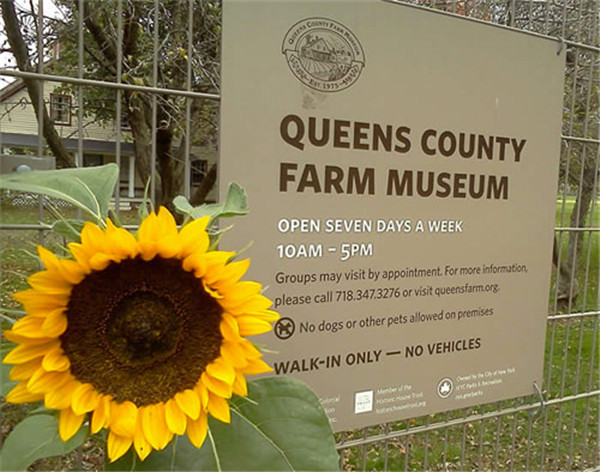 queens-farm-winery.jpg