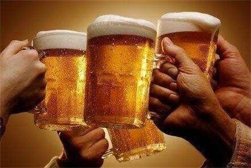 雪花啤酒_人均啤酒消费量