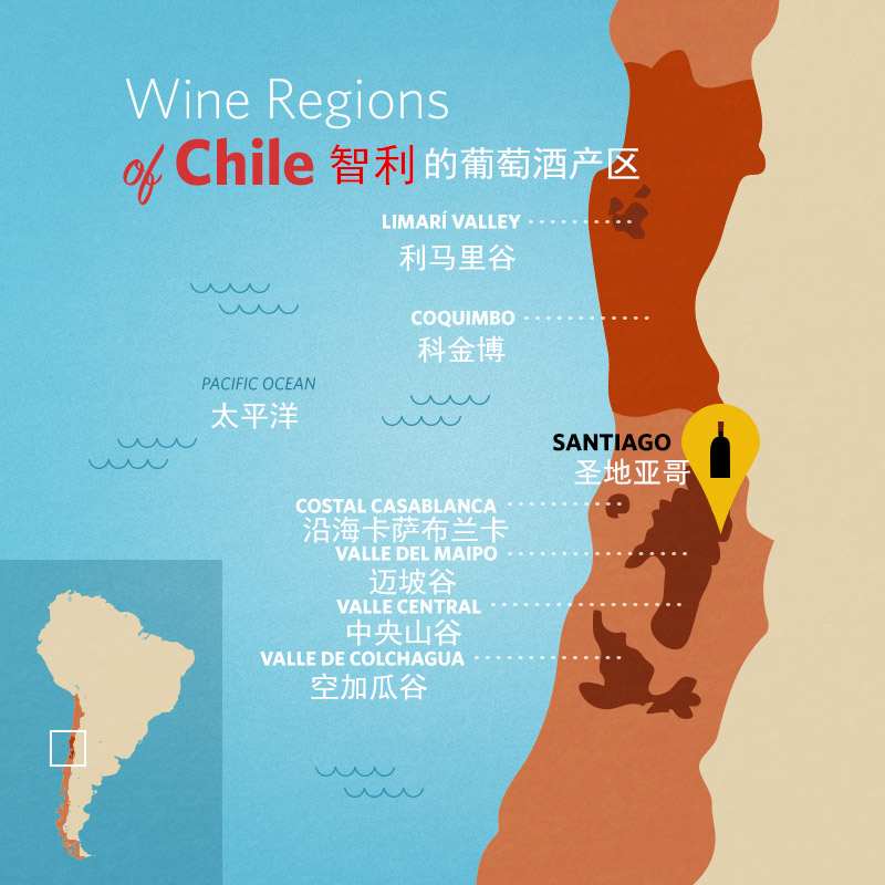 智利葡萄酒：品味智利的独特风土