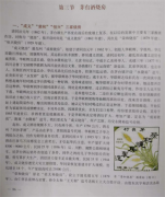 一杯酱香,百年江湖:茅台镇老烧坊的兴衰