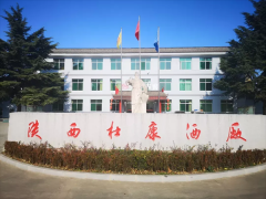 ������ǧ�꣬����ʥ���ſ�д����������ʷ