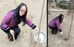 �����о����Ļ�Э�ἰ��֧����ֲ֯���