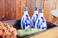 ����Ӫ��210�ڣ����ŷھƴ�Խ���ڵ���������