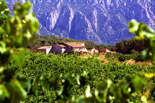 葡萄酒的特拉阿尔塔(terra alta)和风格蜕变中的普里奥拉托(priorat)